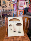 Mushroom Plate - Cream