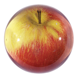 John Derian "Red Apple " Dome Paperweight